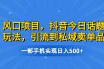 (6588期)风口项目,抖音今日话题玩法,引流到私域卖单品,一部手机实现日入500+