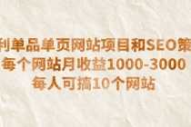 （6503期）暴利单品单页网站项目和SEO策略  每个网站月收益1000-3000  每人可搞10个