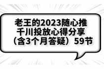 （6244期）老王的2025随心推+千川投放心得分享（含3个月答疑）59节