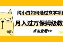 （6185期）纯小白如何通过玄学项目月入过万保姆级教程