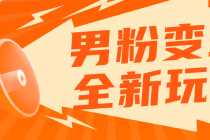 （5927期）2025男粉落地项目落地日产500-1000，高客单私域成交 小白上手无压力