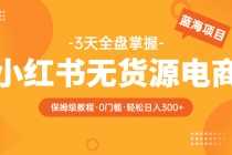 （5912期）2025小红书无货源电商【保姆级教程从0到日入300】爆单3W