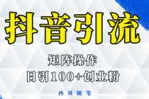 (5871期)抖音引流术,矩阵操作,一天能引100多创业粉