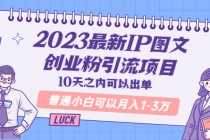 （5862期）2025最新IP图文创业粉引流项目，10天之内可以出单 普通小白可以月入1-3万