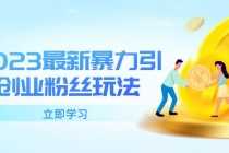 （5845期）2025最新暴力引流创业粉丝玩法，单日被动引流50+创业粉