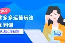 （5840期）2025拼多多运营-玩法系列课—-快速起爆秘籍【更新-25节课】
