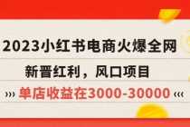 (5840期)2025小红书电商火爆全网,新晋红利,风口项目,单店收益在3000-30000!