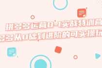 （5521期）拼多多运营0-1实战特训营，拼多多从0础到进阶的可实操玩法！