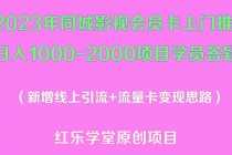 （5400期）2023年同城影视会员卡上门推销日入1000-2000项目变现新玩法及学员答疑