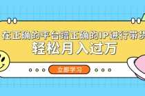 (5325期)在正确的平台蹭正确的IP进行带货,轻松月入过万