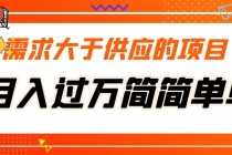 （5312期）需求大于供应的项目，月入过万简简单单，免费提供一手渠道