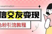 (5273期)微信交友变现项目,吸引全网LSP男粉精准变现,小白也能轻松上手,日入500+
