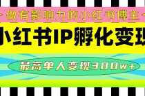 （4612期）某收费培训-小红书IP孵化变现：做有影响力的小红书博主，最高单人变现300w+